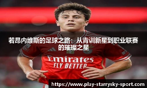 若昂内维斯的足球之路：从青训新星到职业联赛的璀璨之星