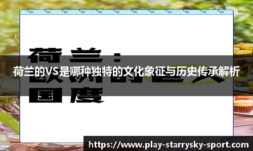 荷兰的VS是哪种独特的文化象征与历史传承解析